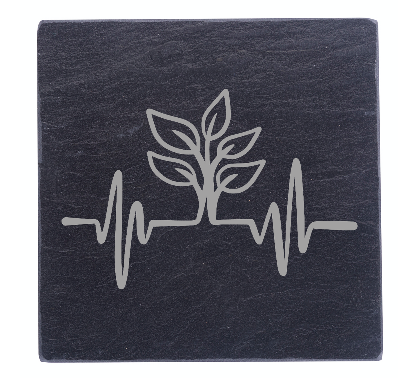 Plant Cardiograph